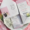 thiep-cuoi-chibi-cuoi-mau-hong-trang-dep-la-hien-dai-de-thuong-gia-re-tai-thu-duc